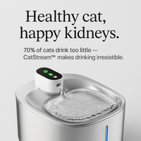 CatStream – Keep Your Cat’s Kidneys Healthy with Fresh, Flowing Water