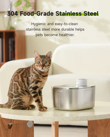 "Transform Your Cat's Health Through Hydration"
