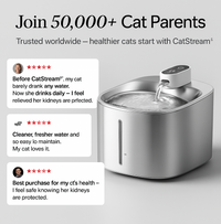 CatStream – Keep Your Cat’s Kidneys Healthy with Fresh, Flowing Water